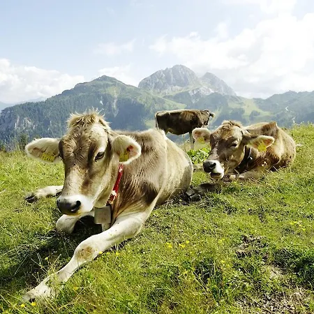 Margret Im Haus Sonnleitn