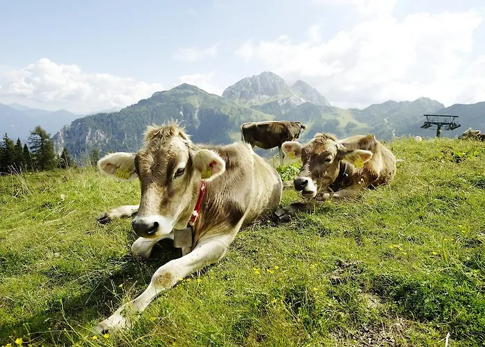 Margret Im Haus Sonnleitn